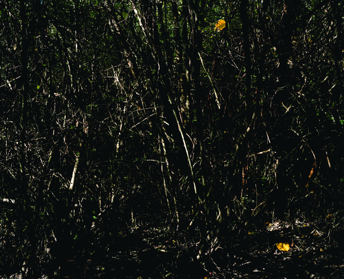 UNTITLED, 2005-2007, photography, 80 x 100 cm. UNTITLED, 2005-2007, photography, 80 x 100 cm.